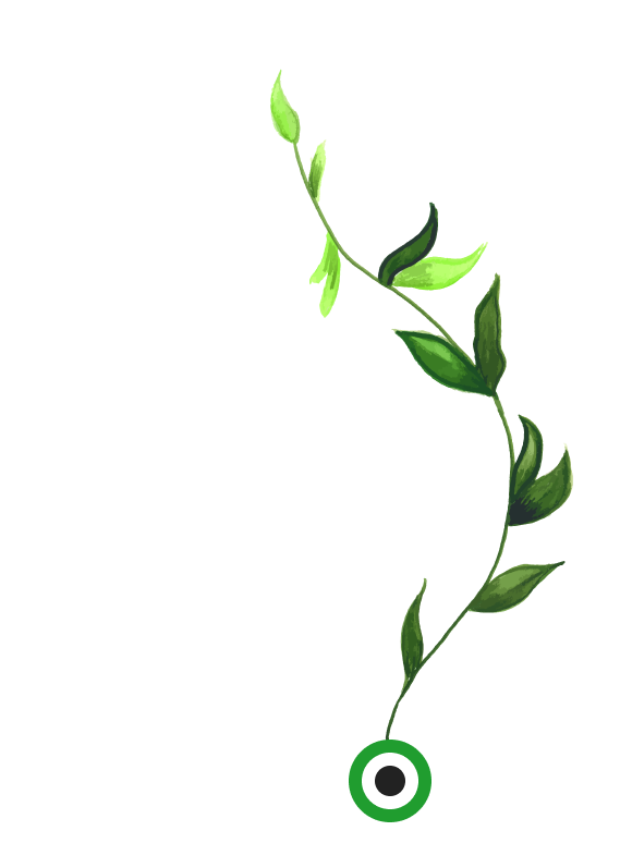 shape-2-1